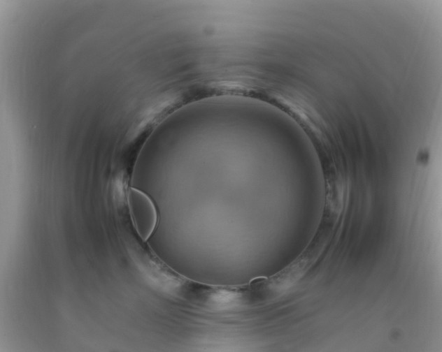 X0000092070718200709191203