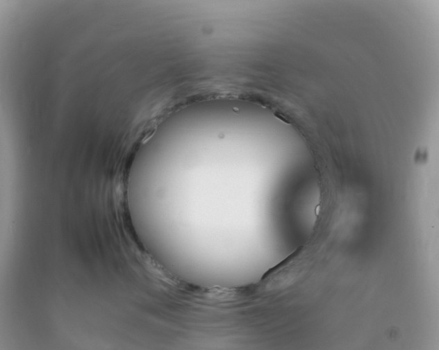 X0000092070720200709191203