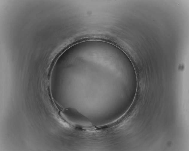 X0000092070721200709191203