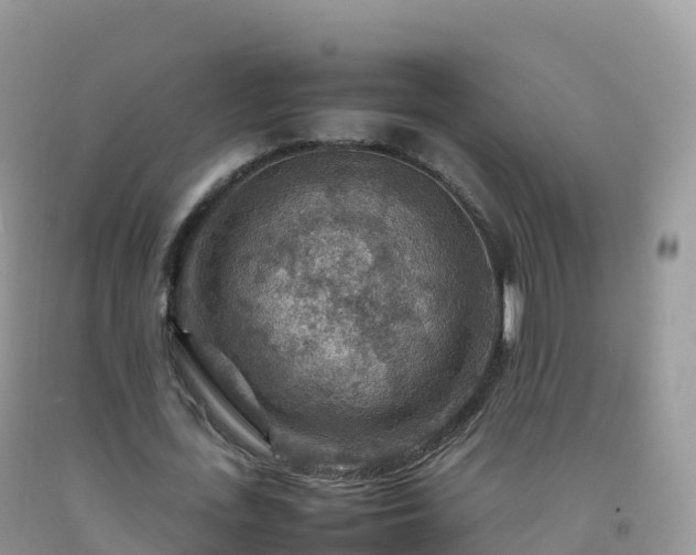 X0000092070723200709191203
