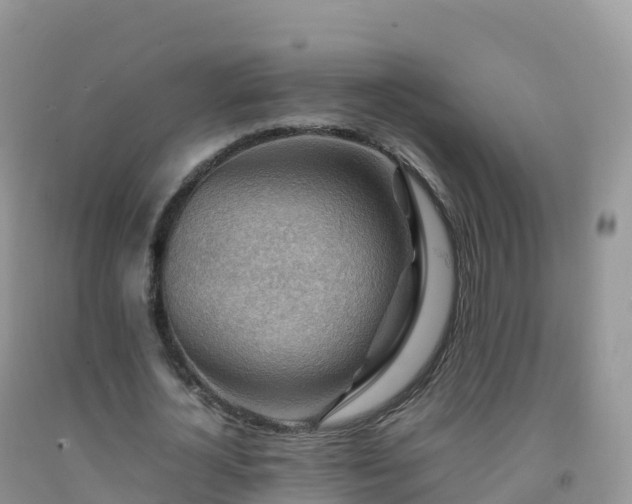 X0000092070724200709191203
