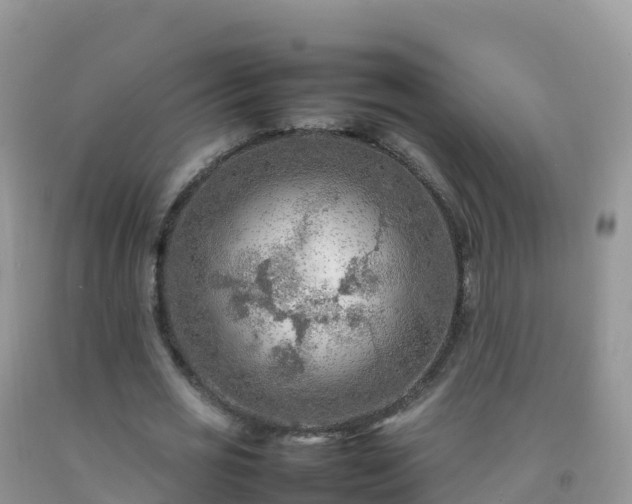 X0000092070725200709191203