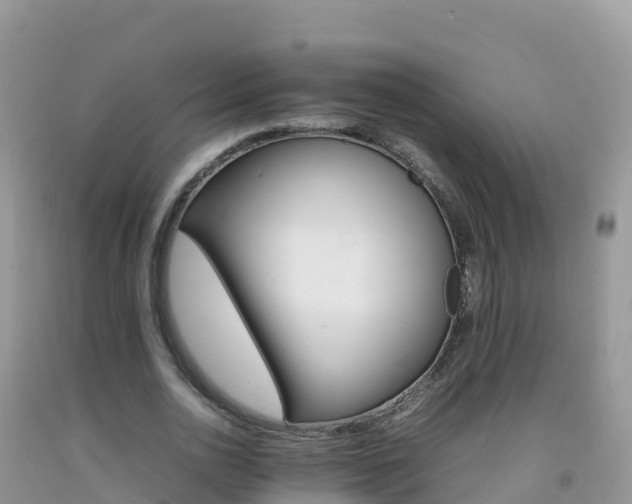 X0000092070726200709191203