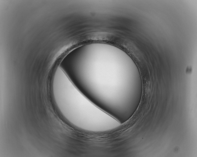 X0000092070727200709191203