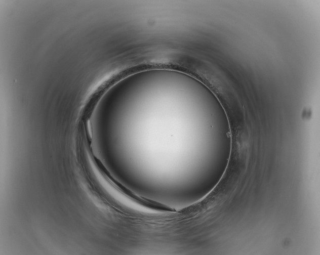 X0000092070728200709191203