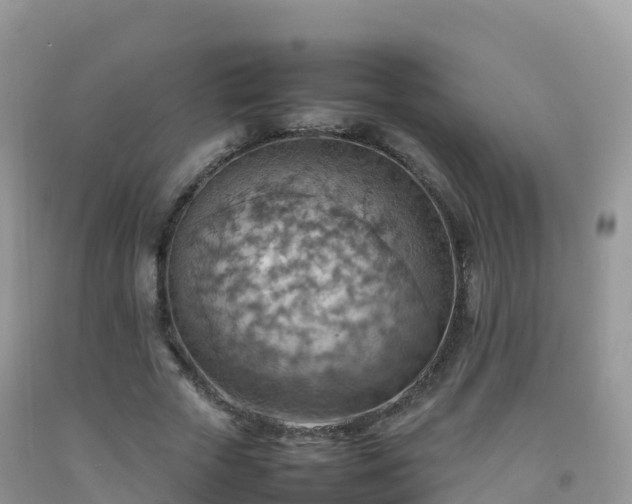 X0000092070729200709191203