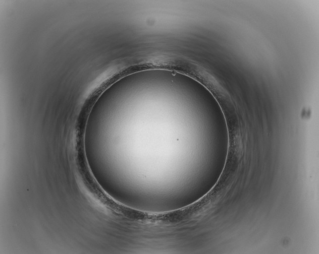 X0000092070730200709191203