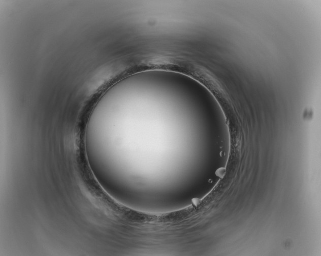 X0000092070732200709191203