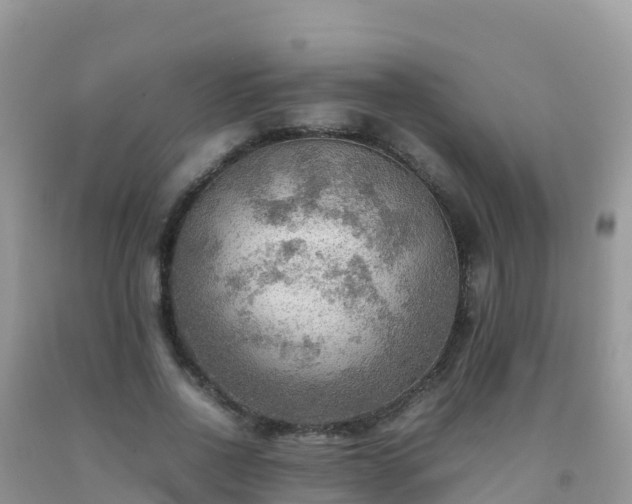 X0000092070734200709191203