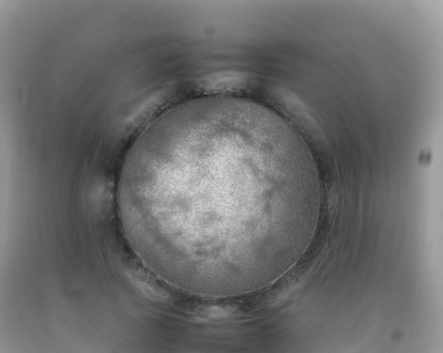 X0000092070737200709191203