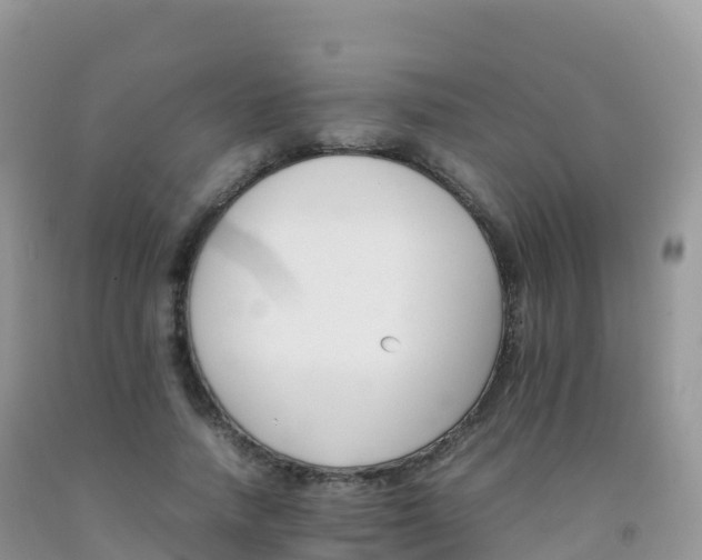X0000092070738200709191203