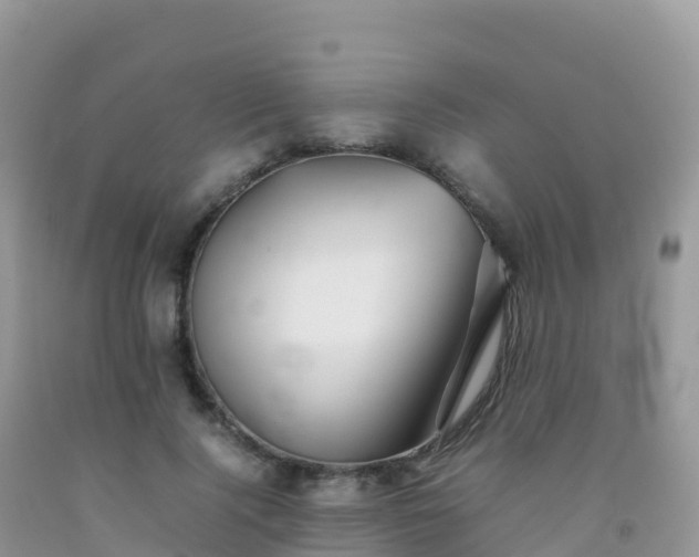 X0000092070740200709191203