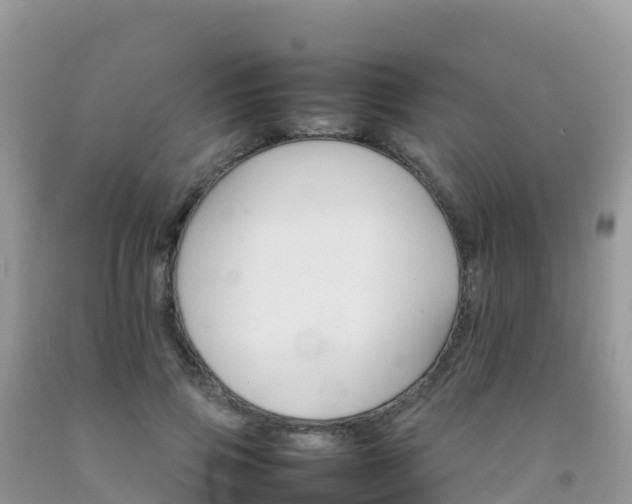 X0000092070741200709191203