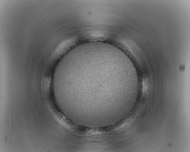 X0000092070742200709191203