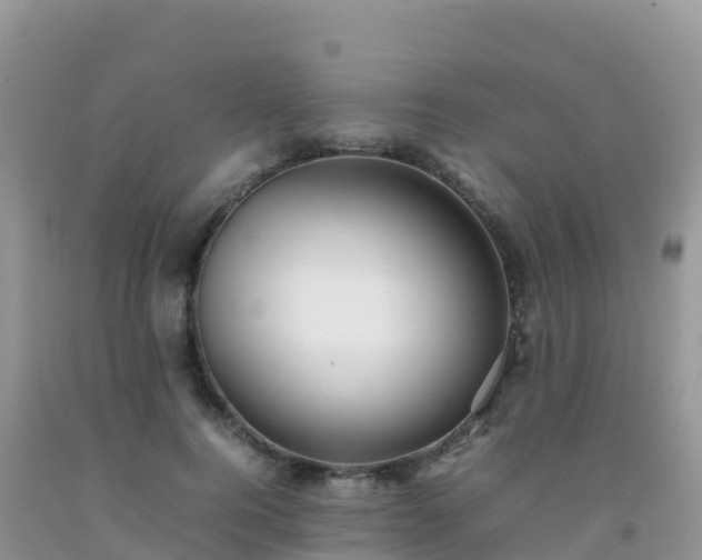 X0000092070744200709191203