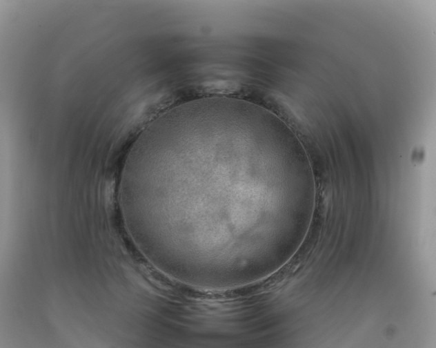 X0000092070745200709191203
