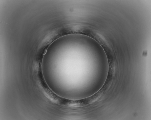 X0000092070746200709191203