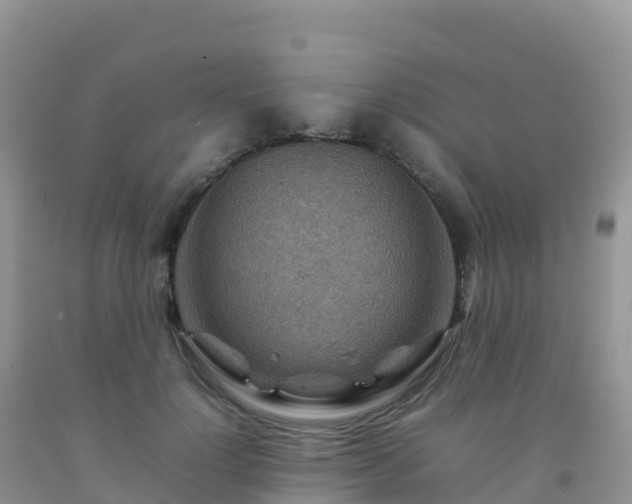 X0000092070748200709191203