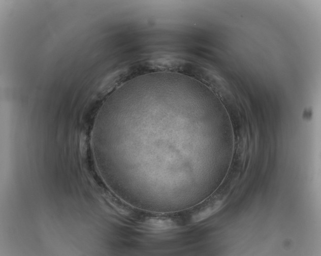 X0000092070749200709191203