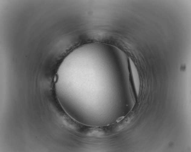 X0000092070750200709191203