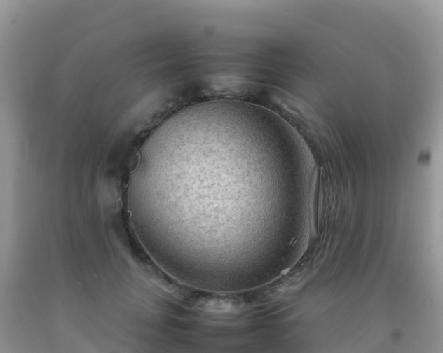 X0000092070751200709191203