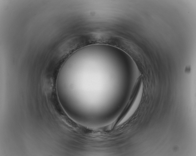 X0000092070752200709191203