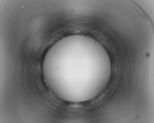 X0000092070754200709191203