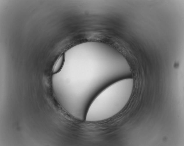 X0000092070755200709191203
