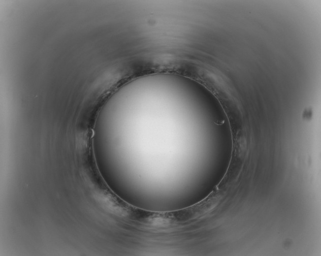 X0000092070756200709191203