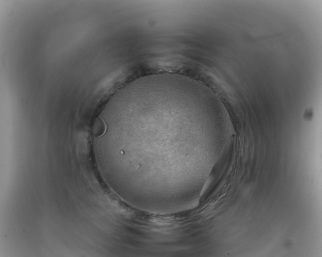 X0000092070757200709191203