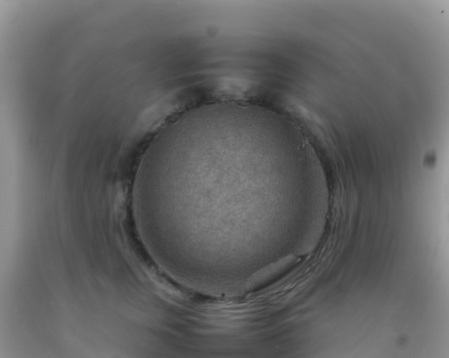 X0000092070759200709191203