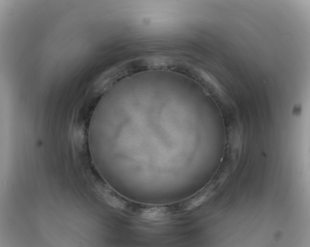 X0000092070761200709191203