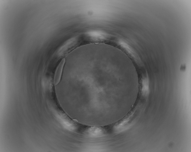 X0000092070762200709191203