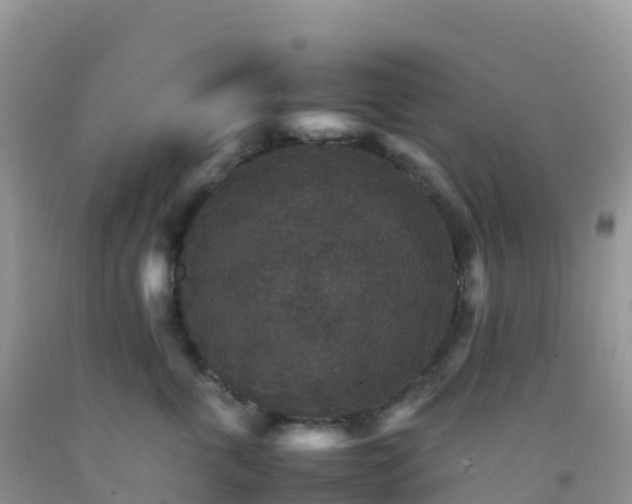 X0000092070763200709191203