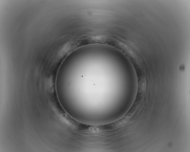 X0000092070764200709191203