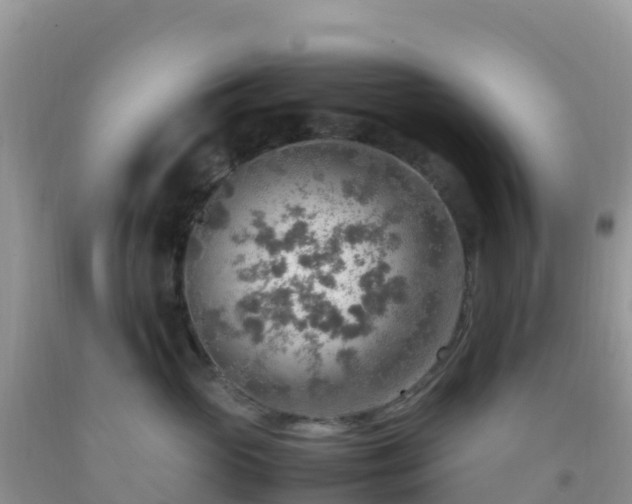 X0000092070765200709191203