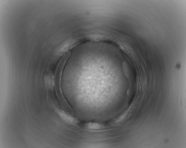 X0000092070766200709191203
