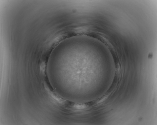 X0000092070767200709191203