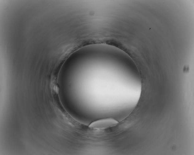 X0000092070768200709191203