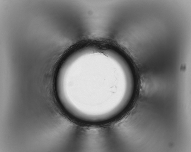X0000092070769200709191203