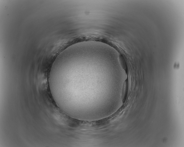 X0000092070771200709191203