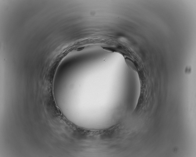 X0000092070773200709191203