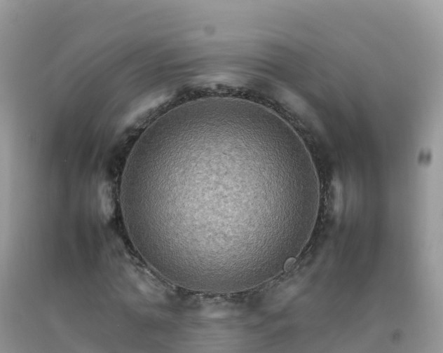 X0000092070774200709191203