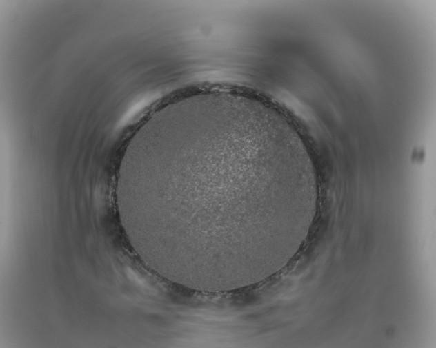 X0000092070775200709191203