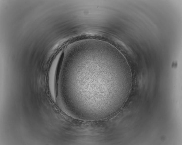 X0000092070776200709191202