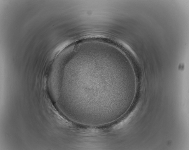 X0000092070777200709191202