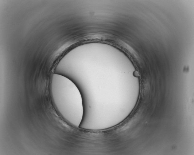 X0000092070778200709191202