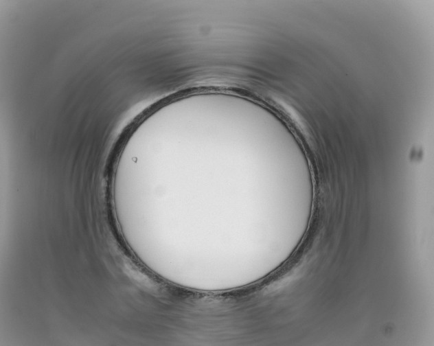 X0000092070779200709191202