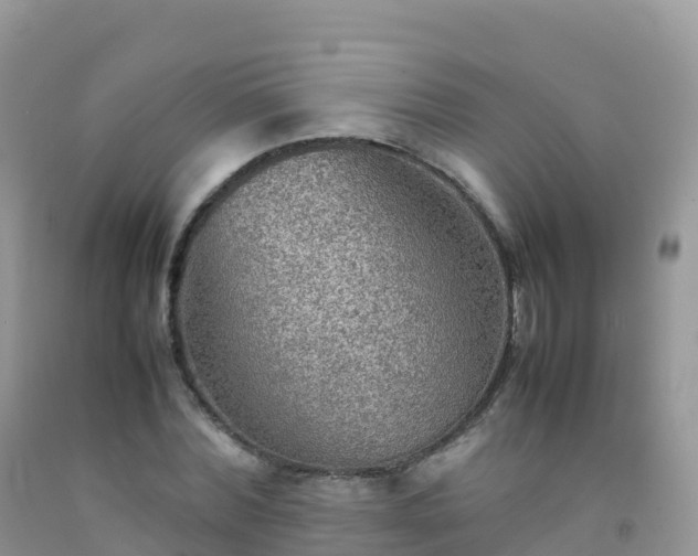X0000092070780200709191202