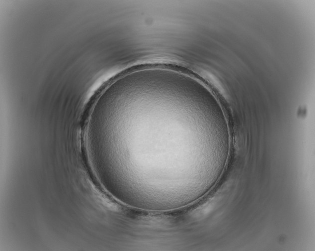 X0000092070781200709191202